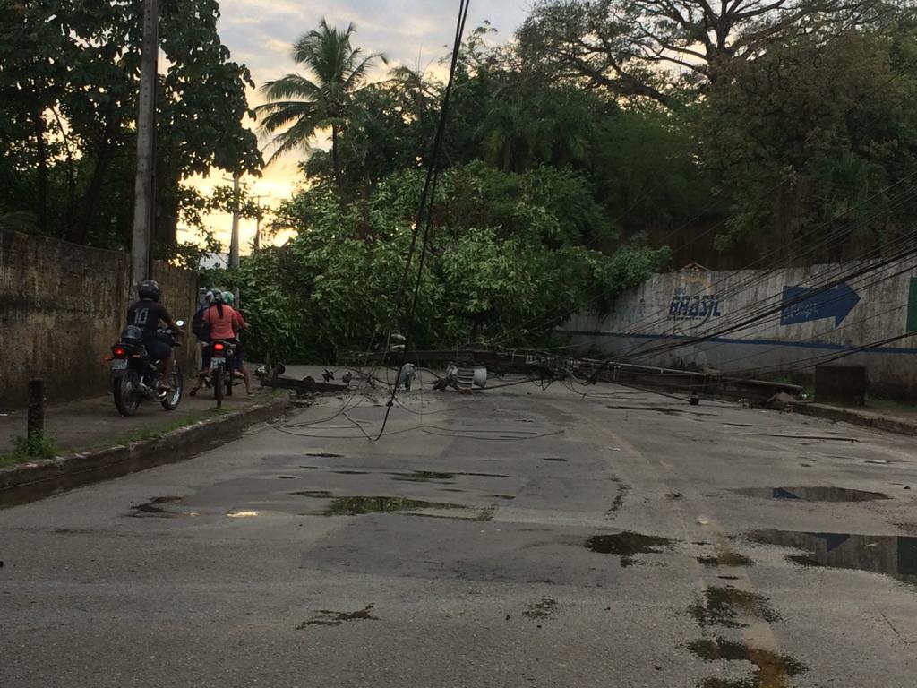 Árvore e poste caíram em avenida do Anil